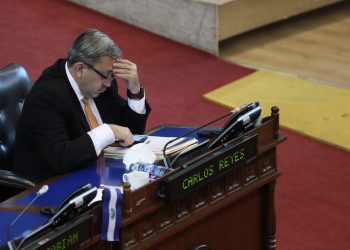 Diputado Reyes tiene inscritas a su nombre 113 propiedades