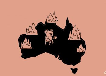 Australia y Estados Unidos vivieron un verdadero infierno en 2020
