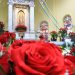 Veneran a la Virgen de Guadalupe con restricciones