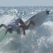 Carlos Muñoz y Rachel Presti, campeones del Surf City El Salvador ALAS Tour 2020