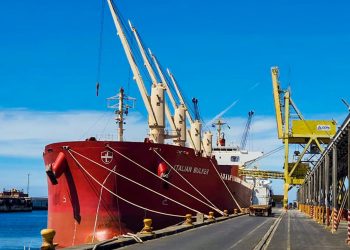 Alimentos impulsan exportaciones de El Salvador en 2020