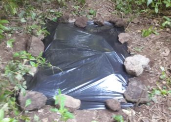 Investigan hallazgo de una fosa clandestina en Lourdes