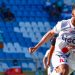 Alianza bicampeón: los elefantes conquistaron la 15