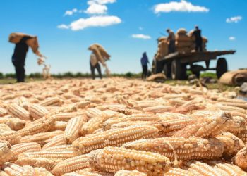 El gobierno anuncia plan para reactivar la agricultura