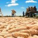 El gobierno anuncia plan para reactivar la agricultura