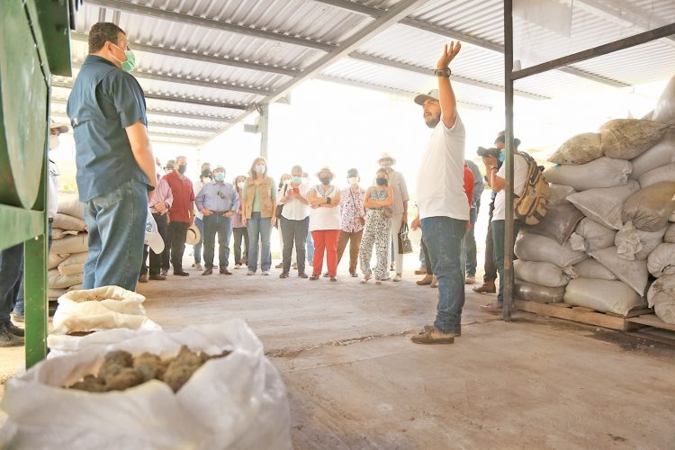 Un total de ocho municipios del país que se encuentran en la zona trinacional Plan Trifinio (Guatemala, El Salvador y Honduras) se están beneficiando con el programa de seguridad alimentaria y nutricional.