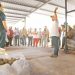 Vicepresidente Ulloa impulsa la seguridad alimentaria en la región del Trifinio.