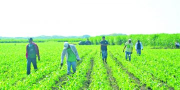 Disputa por terrenos en la comunidad Normandía, Usulután