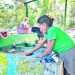 Mujeres crean sistema para reciclar agua en  El Tanque, Ahuachapán
