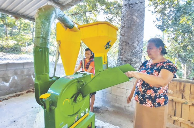 Cerca de 60 mujeres son beneficiadas con el proyecto del IMU. El conocimiento adquirido en las jornadas de capacitaciones se replica entre las mujeres de la hacienda La Labor. Foto; Cristian Arévalo.