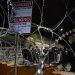 Lejos de una reforma migratoria y de un estatus permanente