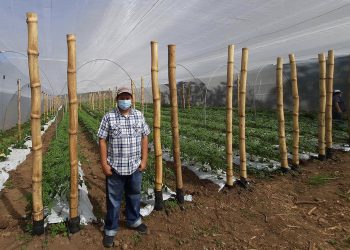 Las minigranjas, un apoyo alimenticio para la comunidad escolar