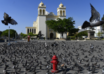 El Salvador: confianza del FMI ha hecho subir bonos y lo coloca como socio seguro para invertir