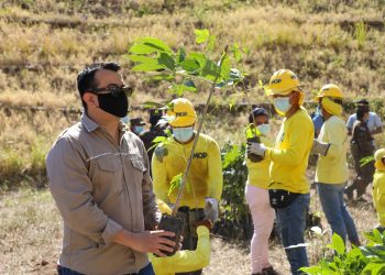 Siembran 1 millón de árboles en los alrededores Bypass de La Libertad