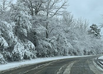 FOTOS: Salvadoreños en Estados Unidos comparten su experiencia durante la tormenta invernal