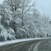 FOTOS: Salvadoreños en Estados Unidos comparten su experiencia durante la tormenta invernal