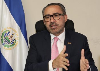 La OEA manifiesta su apoyo al TSE ante comicios