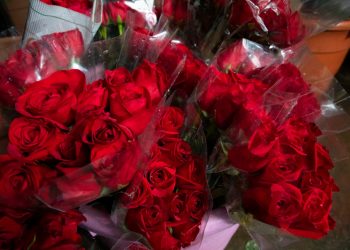 Los salvadoreños prefieren las rosas a la hora de regalar