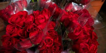 Los salvadoreños prefieren las rosas a la hora de regalar