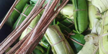 El día de la tamaleada