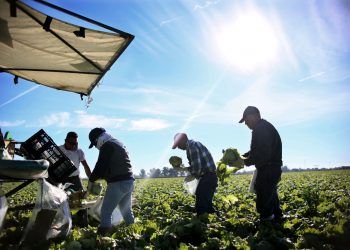 Recomiendan cautela ante proyecto de reforma migratoria