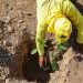 Arborización en las carreteras generará un impacto microclimático