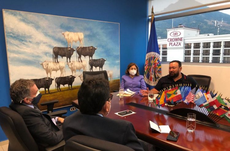 La misión especial de la OEA se reunió ayer con representantes de partidos políticos en el país. / FOTO: Cortesía