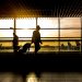 Estas son las nuevas directrices para viajar a los Estados Unidos en el marco de la pandemia de la COVID-19