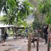 Agricultor se suicida en Panchimalco