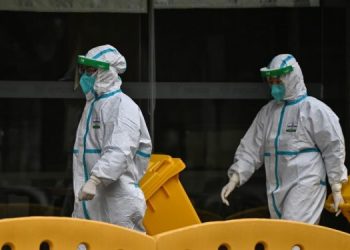 Expertos de OMS consideran probable que la COVID-19 llegara a los humanos desde un animal