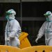 Expertos de OMS consideran probable que la COVID-19 llegara a los humanos desde un animal