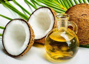 Póngale coco, los planes de inversionistas para el agro de El Salvador