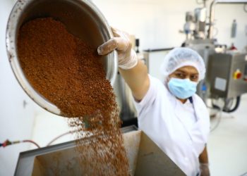 El dulce renacer del cacao en El Salvador