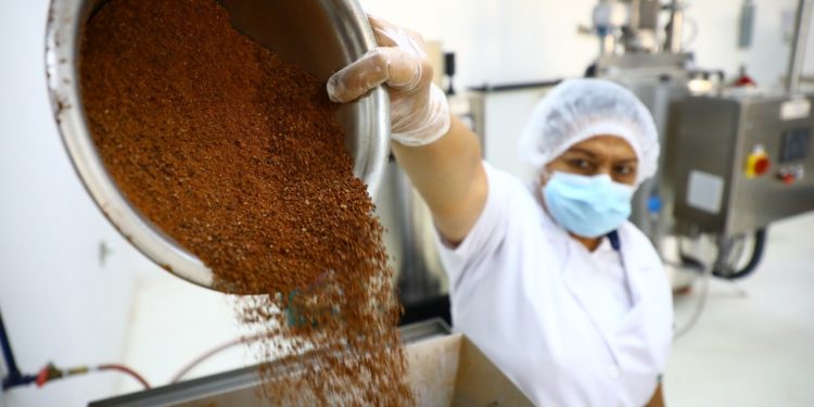 El dulce renacer del cacao en El Salvador