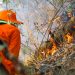 Bomberos declara controlado el incendio forestal en La Montañona, Chalatenango