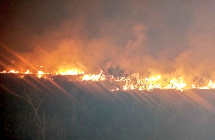 FOTO / Bomberos de El Salvador