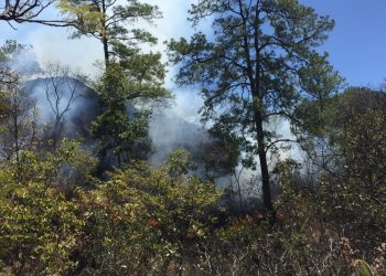 Autoridades salvadoreñas trabajan para controlar incendio forestal en Arambala, Morazán