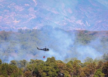 Se queman en dos días 50,000 pinos de un reservorio por incendio en La Montañona