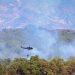 Se queman en dos días 50,000 pinos de un reservorio por incendio en La Montañona
