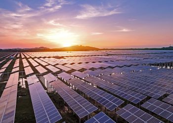Ecosolar invierte $13 millones en construcción de planta fotovoltaica