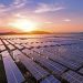 Ecosolar invierte $13 millones en construcción de planta fotovoltaica