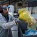 Economía circular, el arte de producir sin dañar a La Tierra