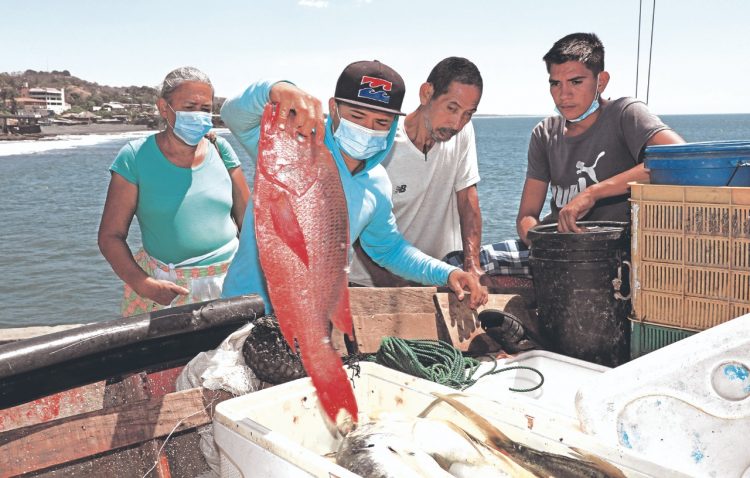 FOTO: Francisco Campos.