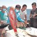Aumentan las ventas de productos pesqueros tras habilitación de Camino a Surf City