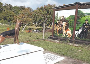 Unidad Canina: un equipo entrenado al servicio de la población