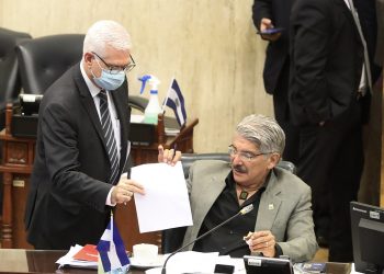 Sala protegió las candidaturas de Norman Quijano y a Rodolfo Parker