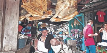 Bajan 60 % ventas de pescado seco en mercado migueleño