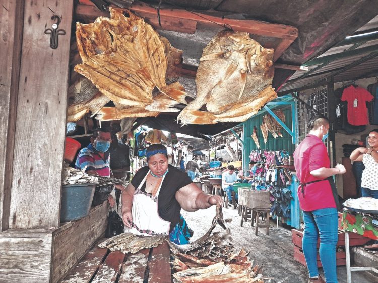 La inversión hecha por algunos es considerable, y esperan recuperarla en la temporada de alto consumo. Foto: Fátima Membreño.