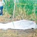 Conductor de camión cañero asesinado en Suchitoto