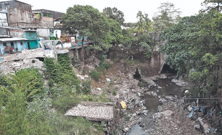 Foto: Diario El Salvador